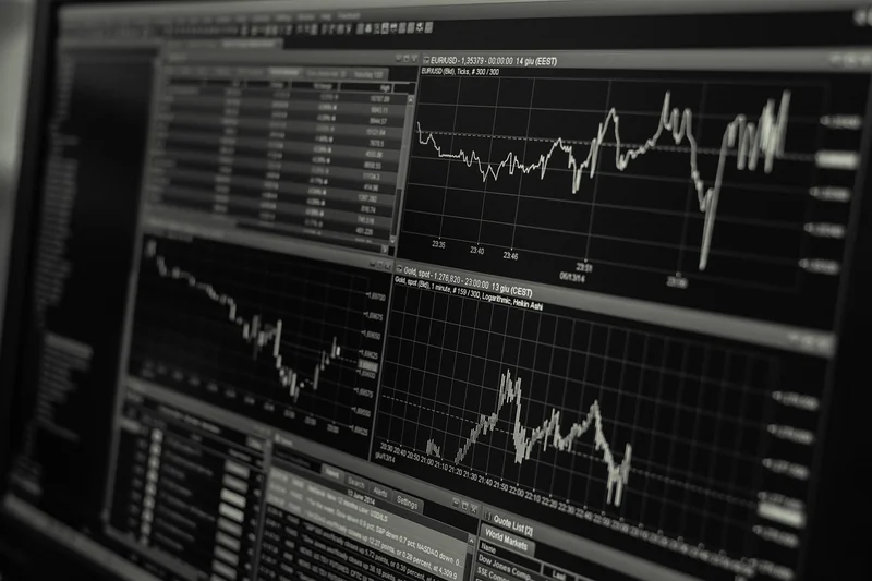 L’analyse de marché : le nerf de la guerre